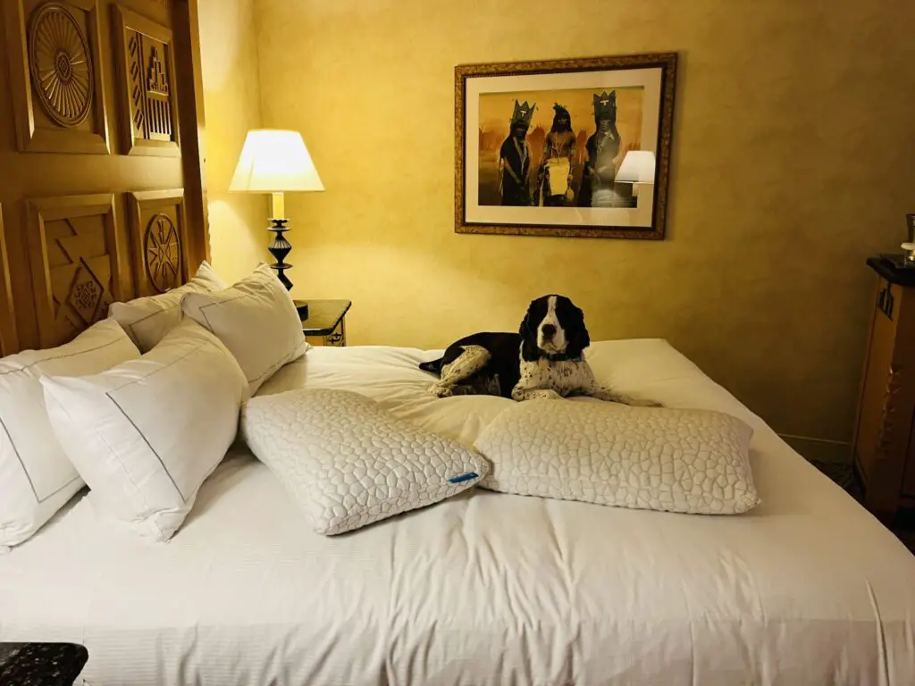 Review: Diamond Upgrade and Benefits at Hilton Santa Fe Buffalo Thunder in New Mexico