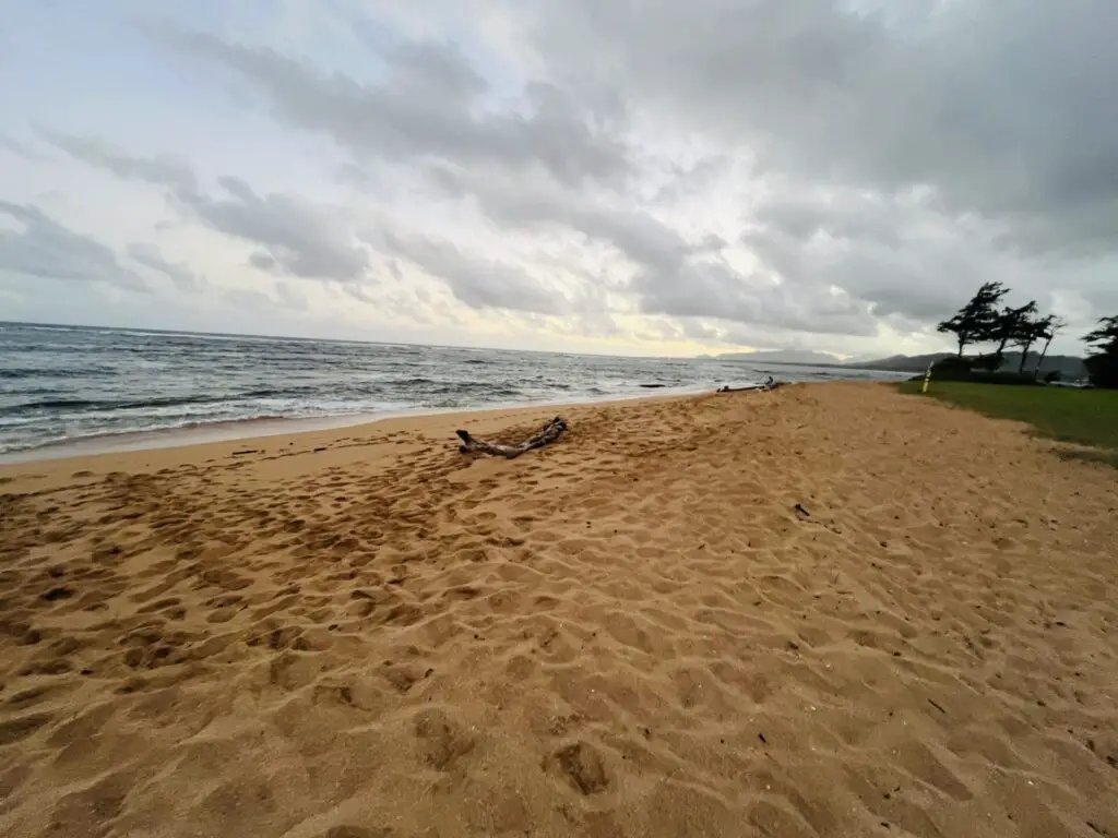 Review Marriott Platinum Upgrade and Benefits at Sheraton Kauai Coconut Beach Resort 